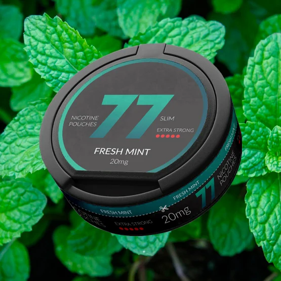 77 Nicotine Pouches Fresh Mint 20mg – Single Tin