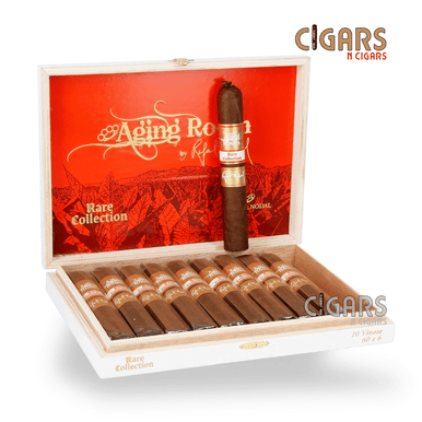 Aging Room Rare Collection Vivase