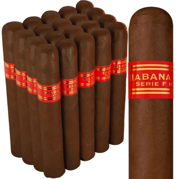 AJ Fernandez Habana Leon Serie F. 2000 Gordo (6x60 / Bundle 20)