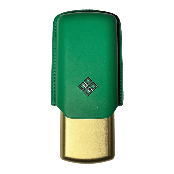 Alestimo Green and Gold Leather and Metal Cigar Case – 2 Toro