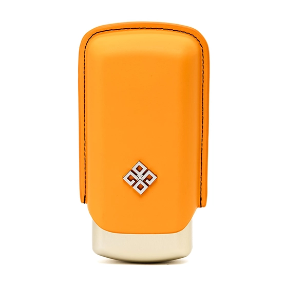 Alestimo Orange and Gold Leather and Metal Cigar Case – 2 Toro