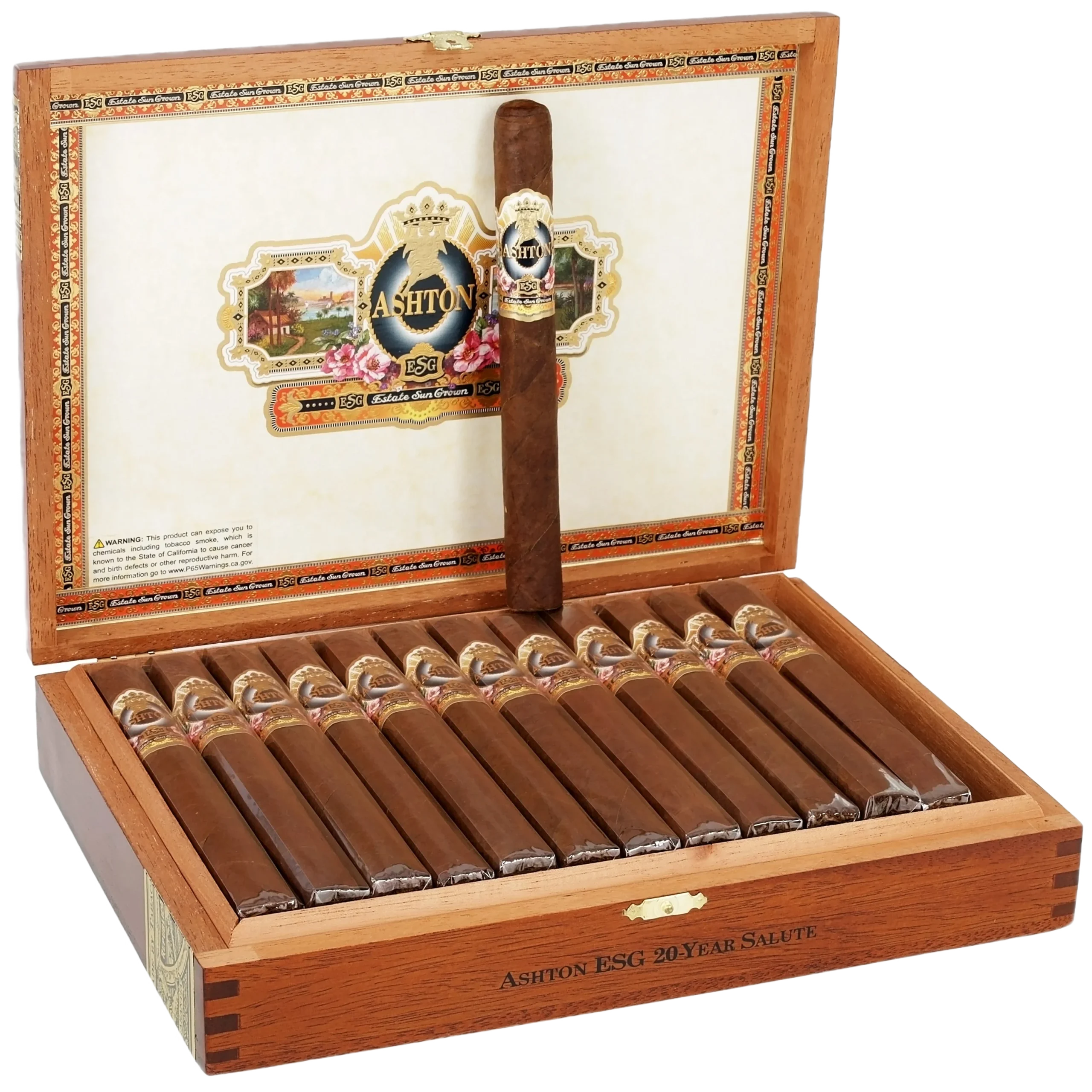 Ashton ESG- 20 Year Salute