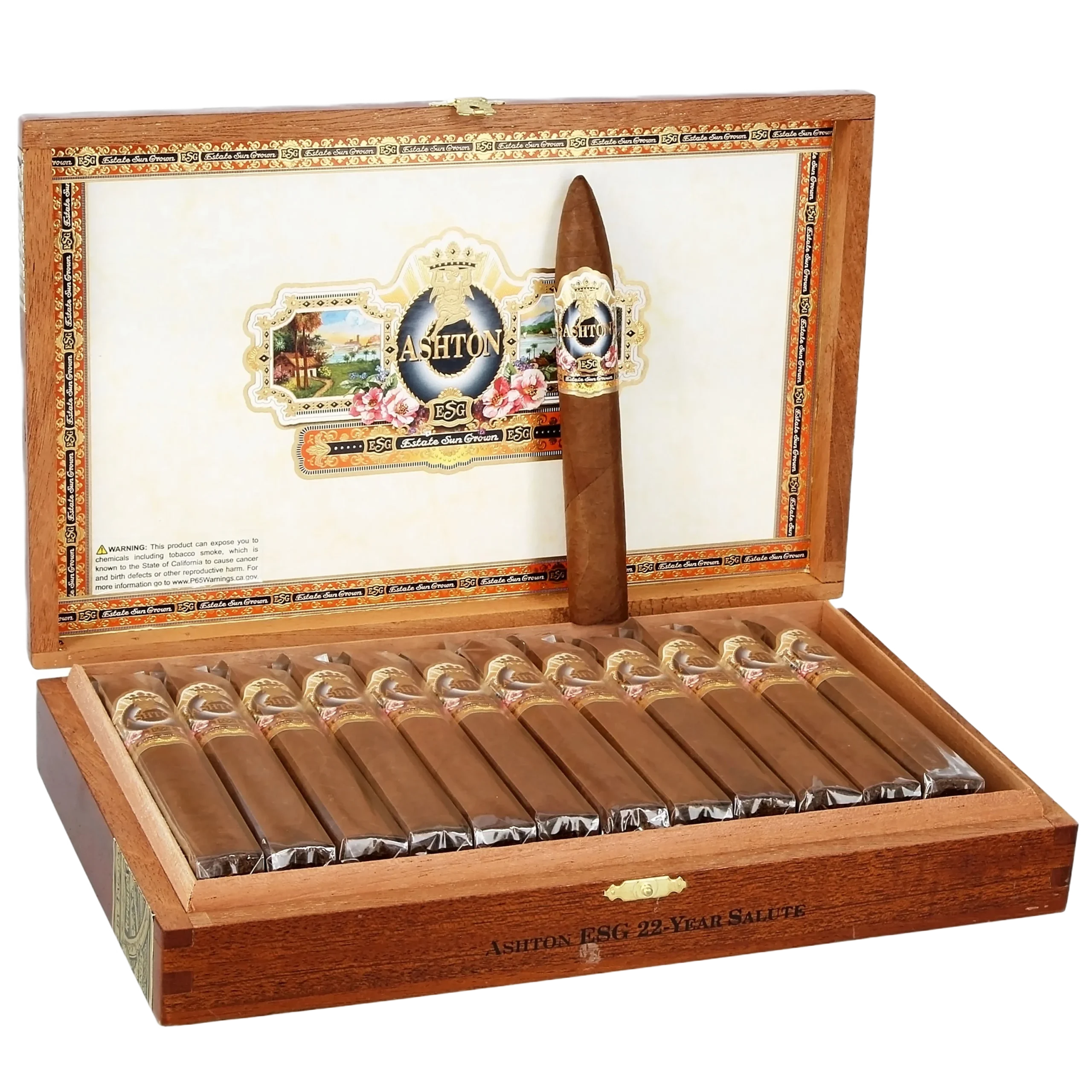 Ashton ESG- 22 Year Salute