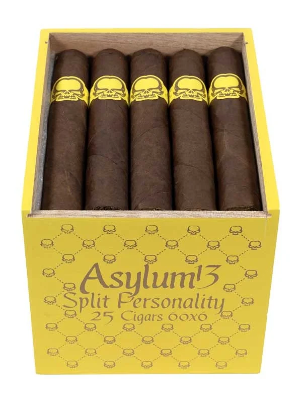 Asylum Split Personality 60 x 6