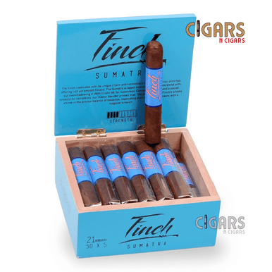 Blackbird Finch Sumatra Robusto