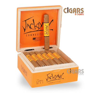 Blackbird Jackdaw Connecticut Robusto