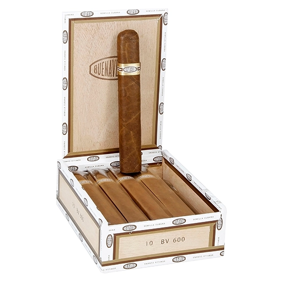 Buenaventura BV 600 Cigar – Box of 10