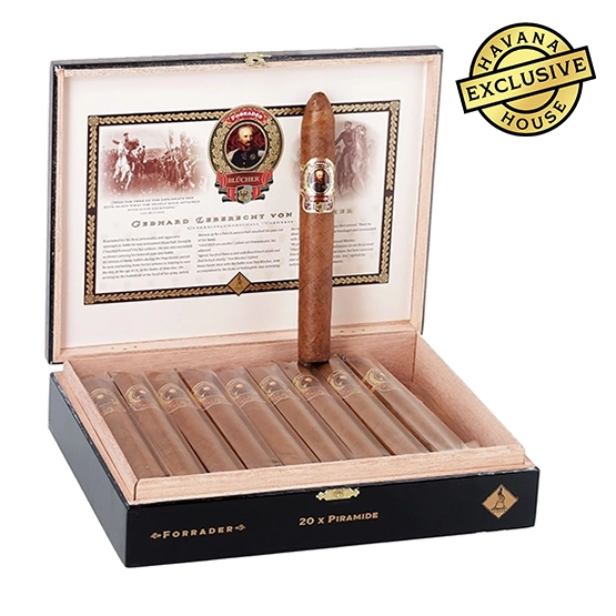 Casdagli Brothers of the Sabre Forrader Piramide Cigar – Box of 20