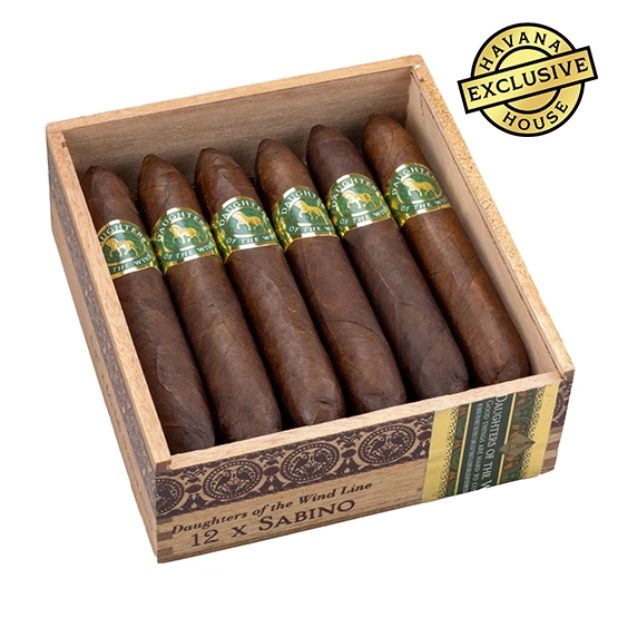 Casdagli Daughters of the Wind Sabino Cigar – Box of 12