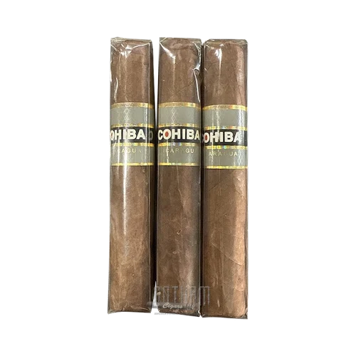 Cohiba Nicaragua N5.5x54 3 Pack