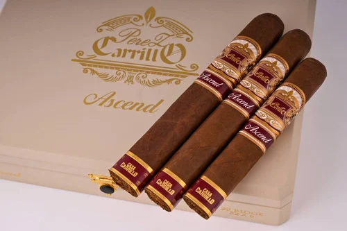 E.P. Carrillo Ascend Saddie Robusto (5x50)