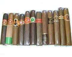 Handcrafted Robusto Sampler – 12 Superb Robustos