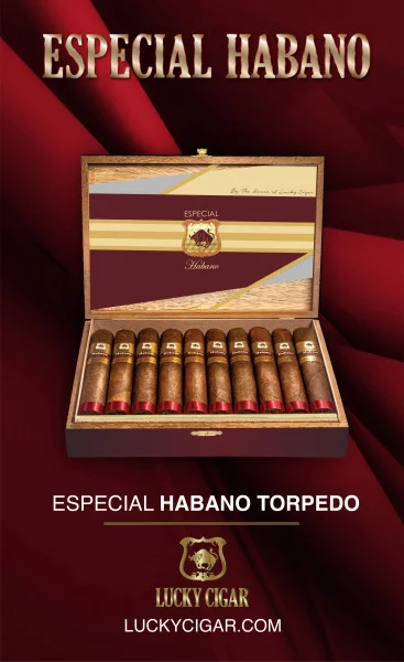 House Of Lucky Especial Habano Torpedo (6x52 / Box 20)