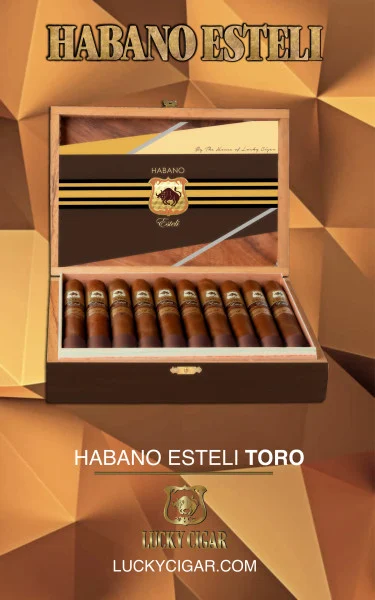 House Of Lucky Habano Esteli Toro (6x50 / Box 20)