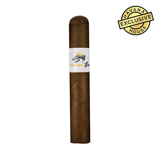 Jas Sum Kral Tyrannical Buc Golem Buc Maduro Cigar – Single