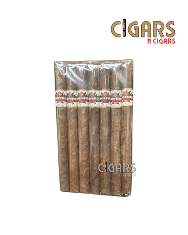Nomad SA-17 Lancero (Bundle)