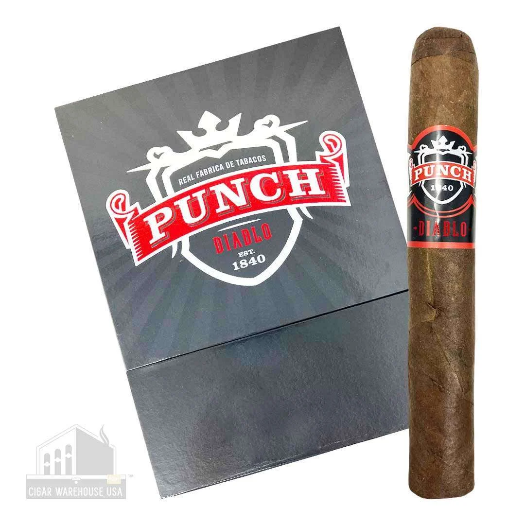 Punch Diablo Brute – Box