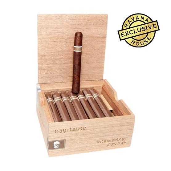 RoMa Craft Aquitaine Anthropology Cigar – Box of 24