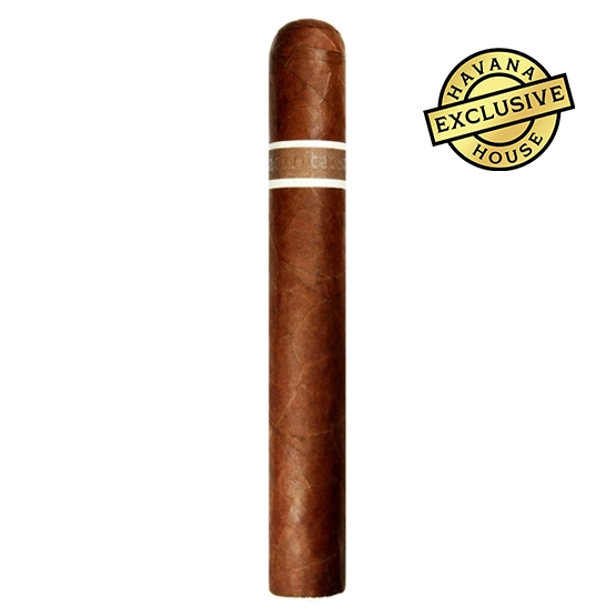 RoMa Craft Aquitaine Cranium Cigar – Single