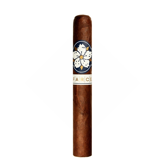 Room 101 Farce Maduro Robusto Cigar – Single