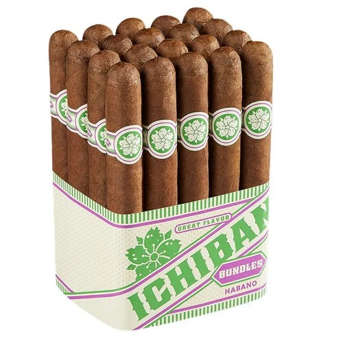 Room 101 Ichiban Habano Toro (6" x 50)